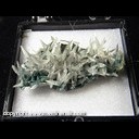 Mineral Specimen: Calcite, Celadonite from Castelinho Mine, near Frederico Westphalen, Alto Uruguai, Rio Grande do Sul, Brazil, Ex. Norm Woods Mineral Specimen: Calcite, Celadonite from Castelinho Mine, near Frederico Westphalen, Alto Uruguai, Rio Grande do Sul, Brazil, Ex. Norm Woods