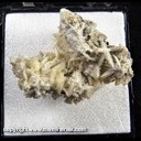 Mineral Specimen: Albite from Mont Saint-Hilaire, Quebec, Canada, Ex. Norm Woods