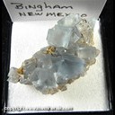 Mineral Specimen: Fluorite from Bingham, Socorro Co., New Mexico, Ex. Norm Woods Mineral Specimen: Fluorite from Bingham, Socorro Co., New Mexico, Ex. Norm Woods