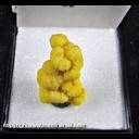 Mineral Specimen: Mimetite from Mina San Pedro, New Placers Dist., Santa Fe Co., New Mexico, Ex. Norm Woods Mineral Specimen: Mimetite from Mina San Pedro, New Placers Dist., Santa Fe Co., New Mexico, Ex. Norm Woods