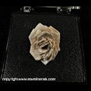 Mineral Specimen: Barite "Rose" from Ellsworth Co., Kansas, Ex. Norm Woods Mineral Specimen: Barite "Rose" from Ellsworth Co., Kansas, Ex. Norm Woods