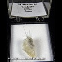 Mineral Specimen: Millerite on Calcite from Kaser Quarry, Ollie, Keokuk Co., Iowa, Ex. Norm Woods