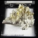 Mineral Specimen: Selenite on Chert from Picher field, Ottawa Co., Oklahoma, Ex. Norm Woods Mineral Specimen: Selenite on Chert from Picher field, Ottawa Co., Oklahoma, Ex. Norm Woods