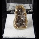 Mineral Specimen: Calcite, Two Gernerations, in Brachipod fossil from Tobin Quarry, Kansas City, Wyandotte Co., Kansas, Ex. Norm Woods Mineral Specimen: Calcite, Two Gernerations, in Brachipod fossil from Tobin Quarry, Kansas City, Wyandotte Co., Kansas, Ex. Norm Woods