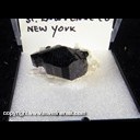 Mineral Specimen: Fluor-uvite-Uvite Series from St. Lawrence Co., New York, Ex. Norm Woods Mineral Specimen: Fluor-uvite-Uvite Series from St. Lawrence Co., New York, Ex. Norm Woods
