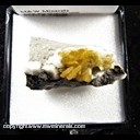 Mineral Specimen: Barite on Calcite from Sietz Quarry, North Holmesville, Gage Co., Nebraska, Ex. Norm Woods Mineral Specimen: Barite on Calcite from Sietz Quarry, North Holmesville, Gage Co., Nebraska, Ex. Norm Woods