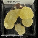 Mineral Specimen: Calcite, 2 generations, yellow on brown from Texas, Ex. Norm Woods Mineral Specimen: Calcite, 2 generations, yellow on brown from Texas, Ex. Norm Woods
