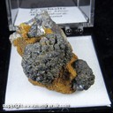 Mineral Specimen: Pyrolusite from Mistake Mine, north of Wickenburgite, Yavapai Co., Arizona, Ex. Norm Woods