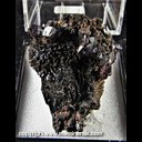 Mineral Specimen: Amethyst on Goethite from Lake George, Park Co., Colorado, Ex. Norm Woods Mineral Specimen: Amethyst on Goethite from Lake George, Park Co., Colorado, Ex. Norm Woods