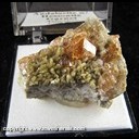 Mineral Specimen: Grossular Garnet variety Hessonite, Diopside from Jeffrey Mine, Val-des-Sources (formerly Asbestos), Quebec, Canada Mineral Specimen: Grossular Garnet variety Hessonite, Diopside from Jeffrey Mine, Val-des-Sources (formerly Asbestos), Quebec, Canada