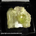 Mineral Specimen: Vesuvianite from Jeffrey Mine, Val-des-Sources (formerly Asbestos), Quebec, Canada Mineral Specimen: Vesuvianite from Jeffrey Mine, Val-des-Sources (formerly Asbestos), Quebec, Canada