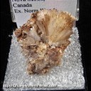 Mineral Specimen: Natrolite, Analcime from Nova Scotia, Canada, Ex. Norm Woods