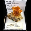 Mineral Specimen: Wulfenite from Red Cloud Mine, La Paz Co., Arizona, Ex. Norm Woods from Perky Minerals Mineral Specimen: Wulfenite from Red Cloud Mine, La Paz Co., Arizona, Ex. Norm Woods from Perky Minerals