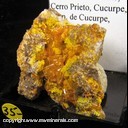 Mineral Specimen: Wulfenite, Mimetite from Mina San Francisco, Cerro Prieto, Municipio de Cucurpe, Sonora, Mexico, Ex. Norm Woods Mineral Specimen: Wulfenite, Mimetite from Mina San Francisco, Cerro Prieto, Municipio de Cucurpe, Sonora, Mexico, Ex. Norm Woods