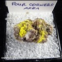 Mineral Specimen: Carnotite from Four Corners Area (AZ, CO, NM, UT)