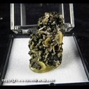 Mineral Specimen: Wulfenite from Glove Mine, Santa Cruz Co., Arizona, Ex. Norm Woods