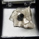 Mineral Specimen: Sphalerite on Dolomite from Lockport, Niagara Co., New York, Ex. Norm Woods