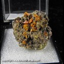 Mineral Specimen: Wulfenite from Mexico, Ex. Norm Woods