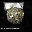 Mineral Specimen: Pyrite from Continental Cement Quarry, SE of Hanibal, Rulls Co., Missouri, Collected by Norm Woods Mineral Specimen: Pyrite from Continental Cement Quarry, SE of Hanibal, Rulls Co., Missouri, Collected by Norm Woods