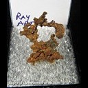 Mineral Specimen: Copper Crystals from Ray, Pinal Co., Arizona, Ex. Norm Woods Mineral Specimen: Copper Crystals from Ray, Pinal Co., Arizona, Ex. Norm Woods