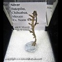 Mineral Specimen: Silver from Batopilas, Chihuahua, Mexico, Ex. Norm Woods Mineral Specimen: Silver from Batopilas, Chihuahua, Mexico, Ex. Norm Woods