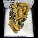 Mineral Specimen: Siderite on Pyrite from Climax Mine, Climax, Lake Co., Colorado, Ex. Norm Woods Mineral Specimen: Siderite on Pyrite from Climax Mine, Climax, Lake Co., Colorado, Ex. Norm Woods