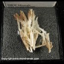 Mineral Specimen: Cerussite variety: Jackstraw from Flux Mine, Pantagonia Mts., Santa Cruz Co., Arizona, Ex. Norm Woods Mineral Specimen: Cerussite variety: Jackstraw from Flux Mine, Pantagonia Mts., Santa Cruz Co., Arizona, Ex. Norm Woods