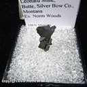 Mineral Specimen: Chalcocite from Leonard Mine, Butte, Silver Bow Co., Montana, Ex. Norm Woods Mineral Specimen: Chalcocite from Leonard Mine, Butte, Silver Bow Co., Montana, Ex. Norm Woods