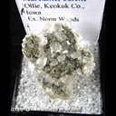 Mineral Specimen: Marcasite, Calcite from Kaser Quarry, Ollie, Keokuk Co., Iowa, Ex. Norm Woods