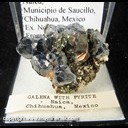 Mineral Specimen: Galena, Pyrite from Naica, Municipio de Saucillo, Chihuahua, Mexico, Ex, Norm Woods from Perky Minerals Mineral Specimen: Galena, Pyrite from Naica, Municipio de Saucillo, Chihuahua, Mexico, Ex, Norm Woods from Perky Minerals