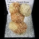 Mineral Specimen: Gypsum variety: Desert Rose from Baja California, Ex. Norm Woods Mineral Specimen: Gypsum variety: Desert Rose from Baja California, Ex. Norm Woods