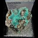Mineral Specimen: Aurichalcite from Pima Co., Arizona, Ex. Norm Woods Mineral Specimen: Aurichalcite from Pima Co., Arizona, Ex. Norm Woods