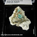 Mineral Specimen: Schulenberite, Serpierite from Platosa Mine, Bermejillo,  Mun. de Mapimi,  Durango,  Mexico Ex. S. Pullman