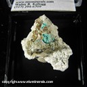 Mineral Specimen: Schulenberite, Serpierite from Platosa Mine, Bermejillo, Mun. de Mapimi, Durango, Mexico Ex. S. Pullman Mineral Specimen: Schulenberite, Serpierite from Platosa Mine, Bermejillo, Mun. de Mapimi, Durango, Mexico Ex. S. Pullman