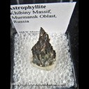 Mineral Specimen: Astrophyllite from Khibiny Massif, Murmansk Oblast, Russia