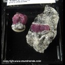Mineral Specimen: Corundum variety: Ruby from Franklin, North Carolina Mineral Specimen: Corundum variety: Ruby from Franklin, North Carolina