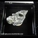 Mineral Specimen: Narsarsukite from Illutalik dyke, Illutalik Island, Kujalleq, Greenland