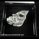 Mineral Specimen: Narsarsukite from Illutalik dyke, Illutalik Island, Kujalleq, Greenland Mineral Specimen: Narsarsukite from Illutalik dyke, Illutalik Island, Kujalleq, Greenland
