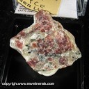 Mineral Specimen: Eudialyte from Norra Karr, Granna, Jonkoping, Jonkoping Co.., Sweden, Ex. Gary Beaman Mineral Specimen: Eudialyte from Norra Karr, Granna, Jonkoping, Jonkoping Co.., Sweden, Ex. Gary Beaman