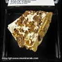 Mineral Specimen: Jarosite from Turquoise Mountain, Cochise Co., Arizona, Ex. Steve Pullman from Ron Gibbs Minerals Mineral Specimen: Jarosite from Turquoise Mountain, Cochise Co., Arizona, Ex. Steve Pullman from Ron Gibbs Minerals