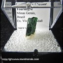 Mineral Specimen: Tourmaline, Gem Grade Chrome from Minas Gerais, Brazil from Vivian Randall Mineral Specimen: Tourmaline, Gem Grade Chrome from Minas Gerais, Brazil from Vivian Randall