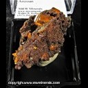 Mineral Specimen: Wulfenite with likely Vanadinite from Red Cloud Mine, La Paz Co., Arizona Mineral Specimen: Wulfenite with likely Vanadinite from Red Cloud Mine, La Paz Co., Arizona
