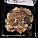 Mineral Specimen: Zircon, undetermined Amphibole and Feldspar matrix from Kipawa alkaline complex, Les Lacs-du-Temiscamingue, Temiscamingue RCM, Quebec, Canada Mineral Specimen: Zircon, undetermined Amphibole and Feldspar matrix from Kipawa alkaline complex, Les Lacs-du-Temiscamingue, Temiscamingue RCM, Quebec, Canada
