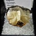 Mineral Specimen: Barite from Mina Ojuela, Mapimi, Durango, Mexico, Ex. Norm Woods