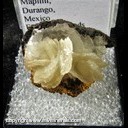 Mineral Specimen: Barite from Mina Ojuela, Mapimi, Durango, Mexico, Ex. Norm Woods Mineral Specimen: Barite from Mina Ojuela, Mapimi, Durango, Mexico, Ex. Norm Woods