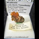 Mineral Specimen: Wulfenite with likely Vanadinite from Red Cloud Mine, La Paz Co., Arizona, Ex. Norm Woods from Perky Minerals Mineral Specimen: Wulfenite with likely Vanadinite from Red Cloud Mine, La Paz Co., Arizona, Ex. Norm Woods from Perky Minerals