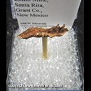 Mineral Specimen: Copper, Spinel Twin Crystals from Chino Mine, Santa Rita, Grant Co., New Mexico