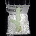Mineral Specimen: Prehnite Pseudomorph after Laumontite from Pathanwadi Quarry, Mumbai (Bombay), Maharashtra, India Mineral Specimen: Prehnite Pseudomorph after Laumontite from Pathanwadi Quarry, Mumbai (Bombay), Maharashtra, India