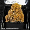 Mineral Specimen: Wulfenite from Chihuahua, Mexico, 1960s