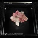Mineral Specimen: Rhodochrosite (cleaved), Quartz, Sulfides from Blue Moon Pocket, Main Stope, Sweet Home Mine, Alma District, Colorado, June, 1996